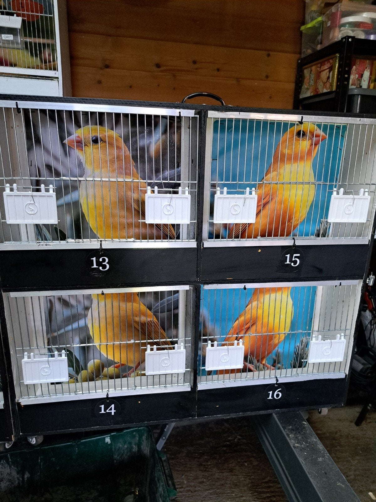 zang kooitjes 4links en  4 rechts  op wieltjes, Dieren en Toebehoren