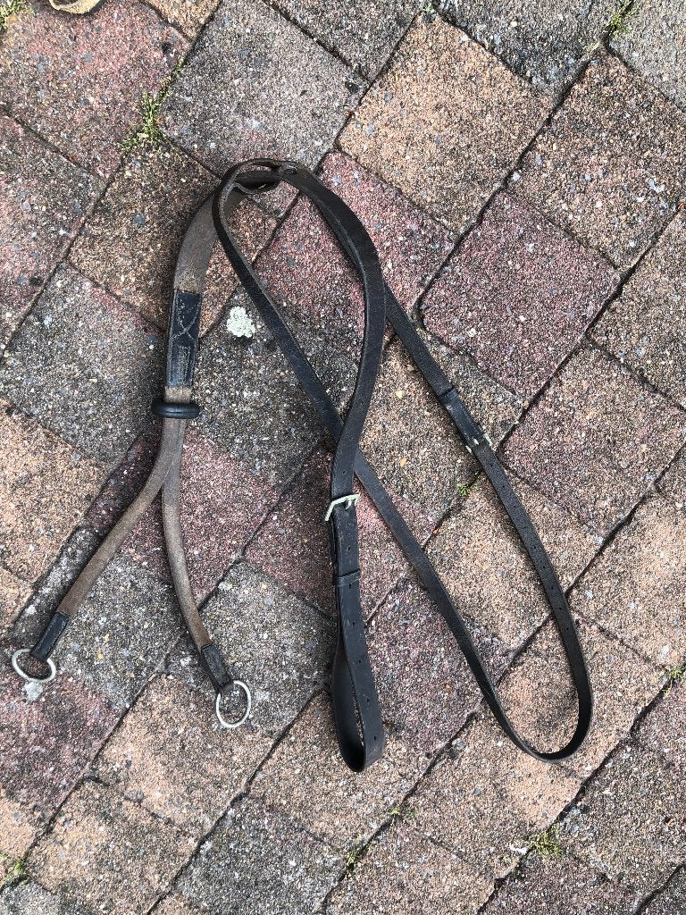 Martingaal, Dieren en Toebehoren, Ophalen, BR