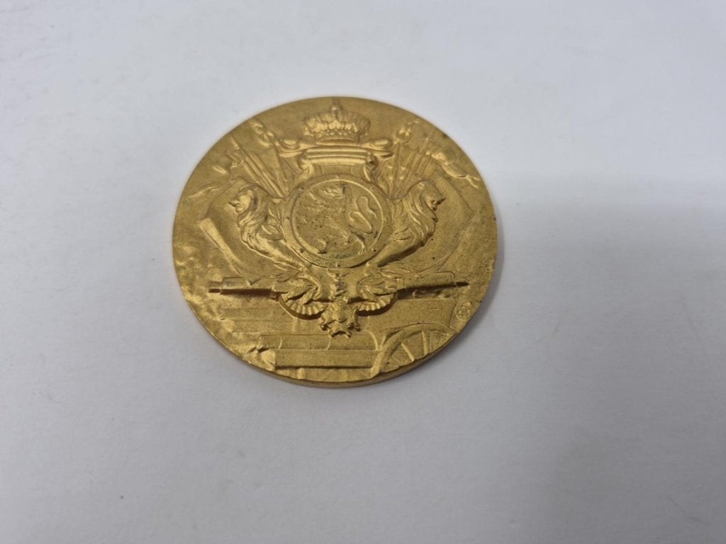Zeldzaam militaire medaille Forces de Défense de l’Intérieur, Collections, Enlèvement