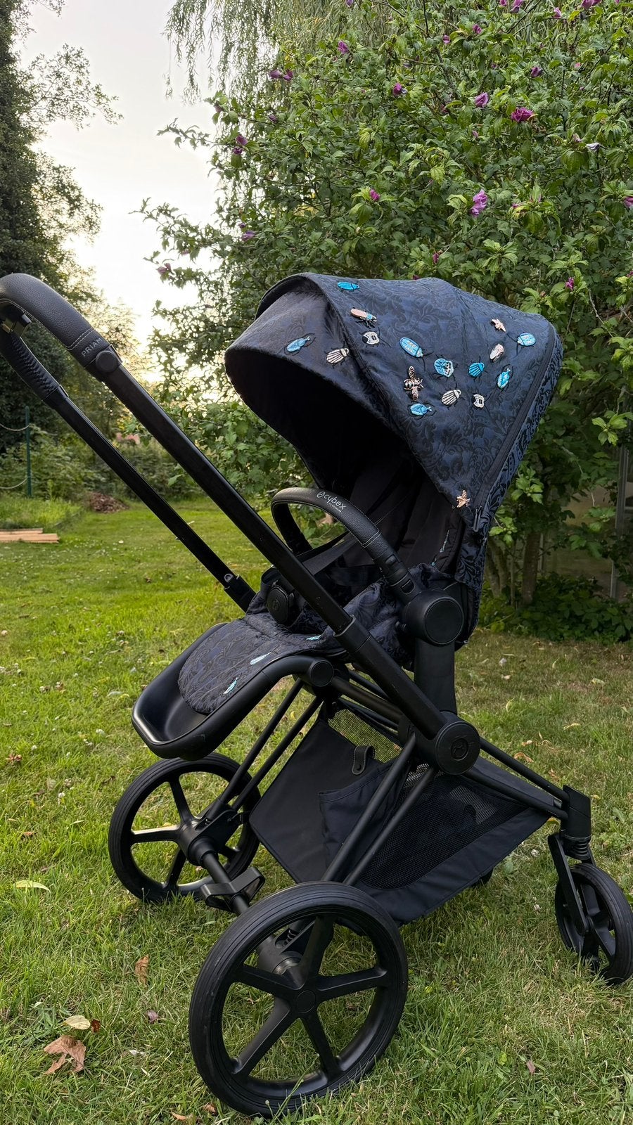 Poussette CYBEX Nature Collection + siège auto, Enlèvement ou Envoi, Utilisé, Protection de pluie