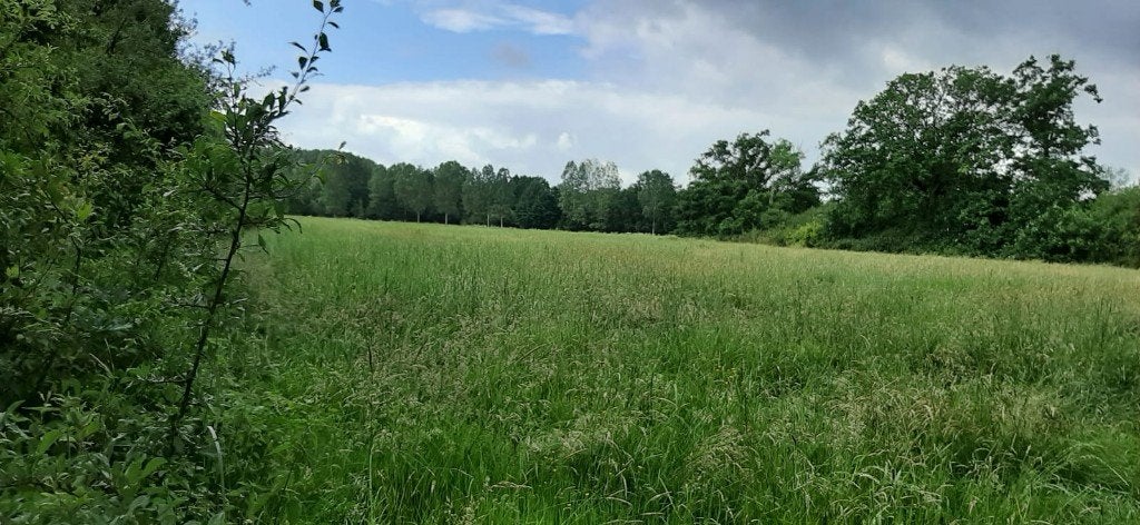 Landbouwgrond te koop (1ha 63 are), Boortmeerbeek, Verkoop zonder makelaar, 1500 m² of meer