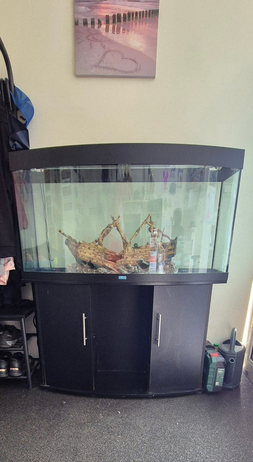 Goed onderhouden aquarium te koop / Deco appart te koop, Dieren en Toebehoren, Ophalen