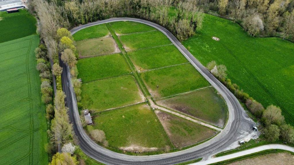 Halfpension, Weidegang, 2 of 3 paarden of pony's