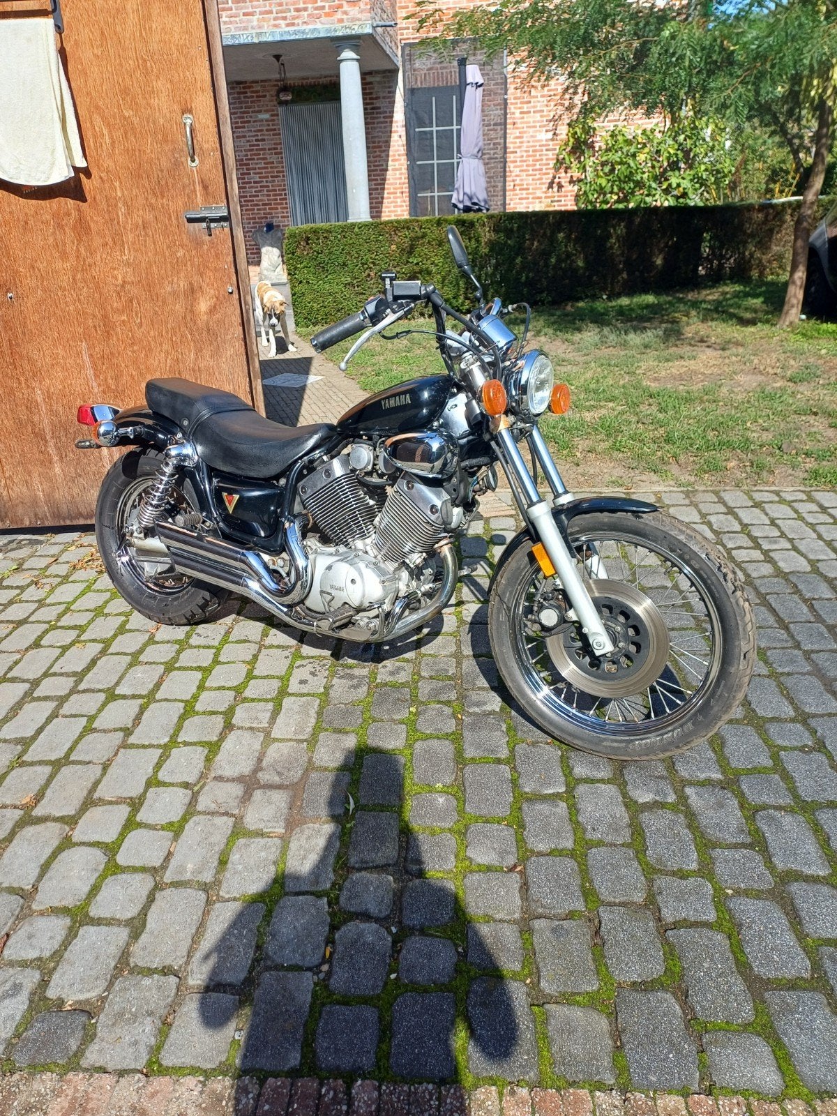 yamaha virago 535, Motos, Motos | Yamaha, Occasion, Chopper, 2 cylindres, Particulier