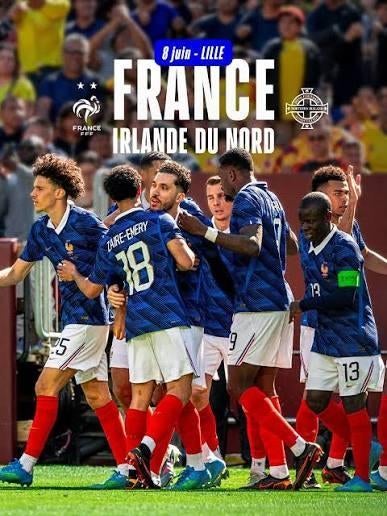 A vendre 2places côte à côte France vs R.Irlande à Lille, Tickets & Billets, Juin