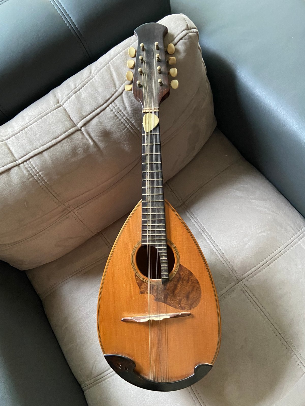 Mandoline, Muziek en Instrumenten, Ophalen of Verzenden, Gebruikt