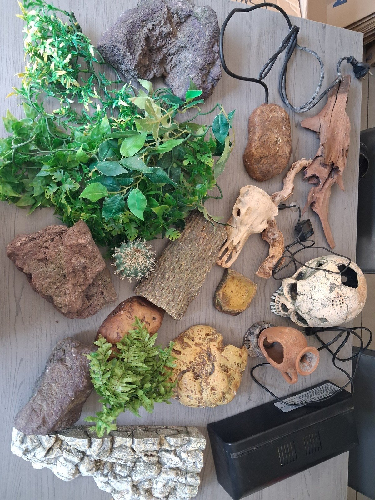 Terrarium, Dieren en Toebehoren, Ophalen