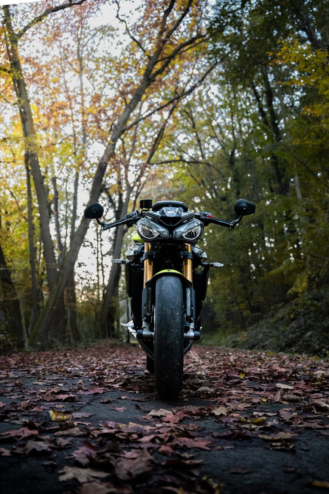 Triumph street triple 765 RS - Moto 2 - Evotech performance, Occasion, Motorrijbewijs A, 3 cilinders, Particulier