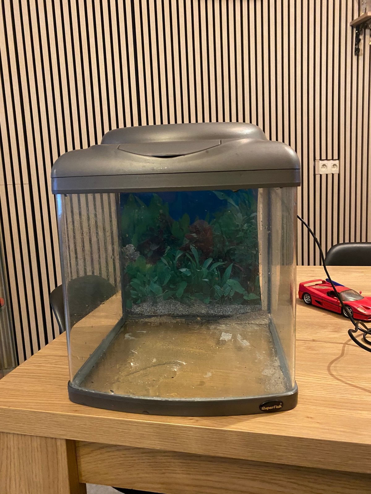 Petit aquarium, Enlèvement, Pompe, Comme neuf