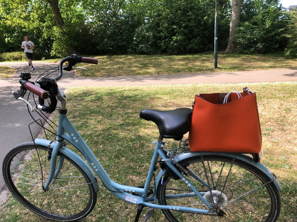 Damesfiets, Fietsen en Brommers, Gebruikt, Velgrem, (Extra) lage instap, 47 tot 50 cm
