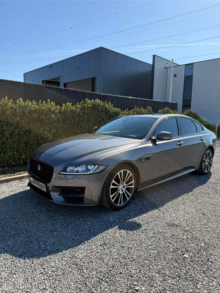 Jaguar XF Sport, Autos, Jaguar, Cuir, Argent ou Gris, Noir, XF