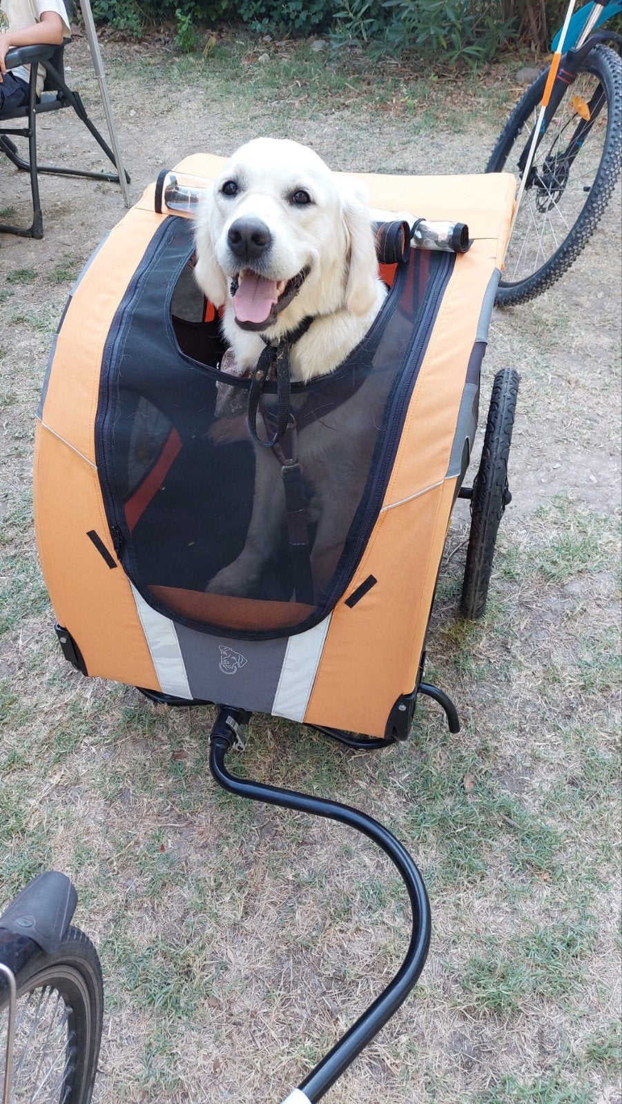 DoggyRide hondenkar, Fietsen en Brommers, Fietsaccessoires | Aanhangwagens en Karren, Ophalen, Gebruikt, Opvouwbaar, Doggyride