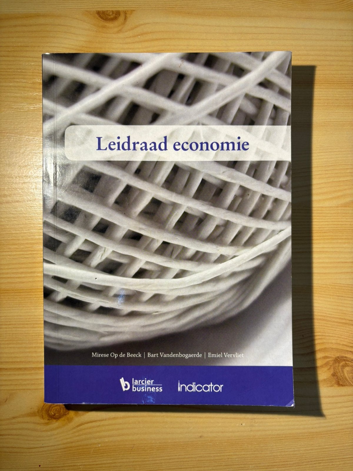 Boek leidraad economie, Enlèvement, Comme neuf, Autres sujets/thèmes