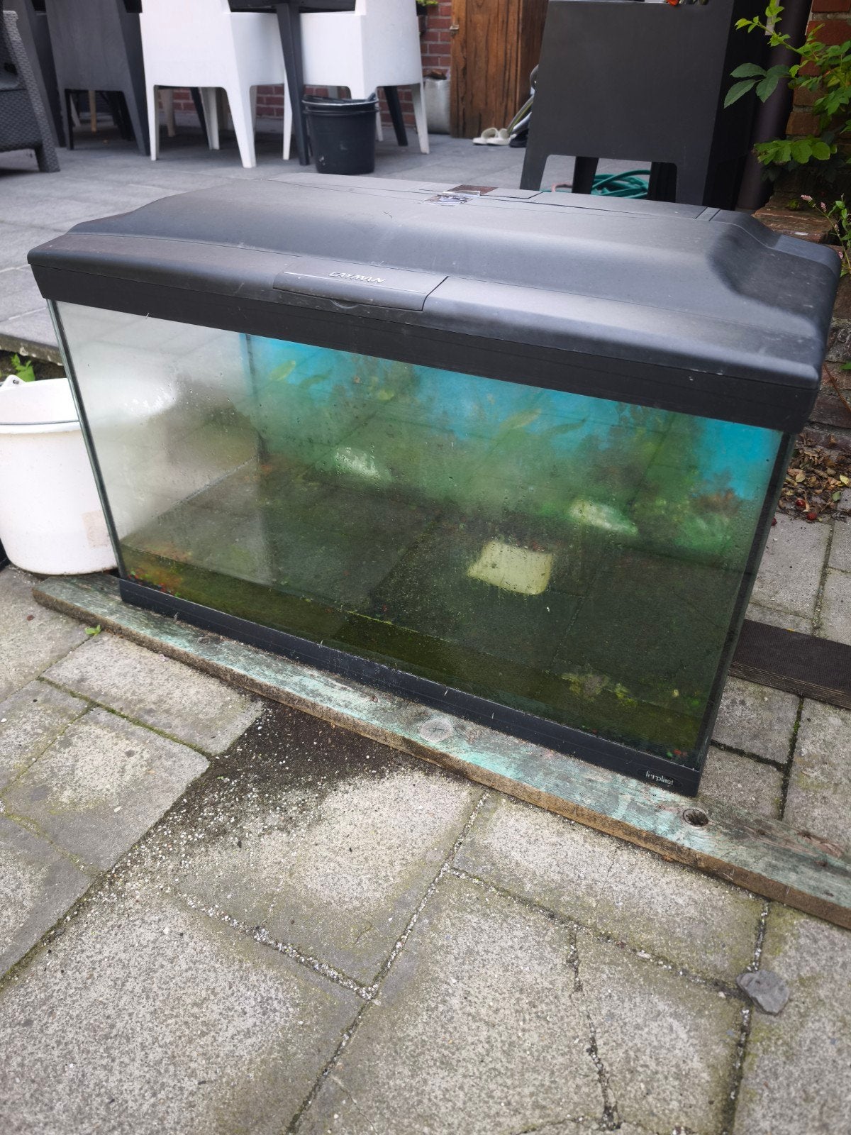 te koop Cayman aquarium 80cm, Enlèvement