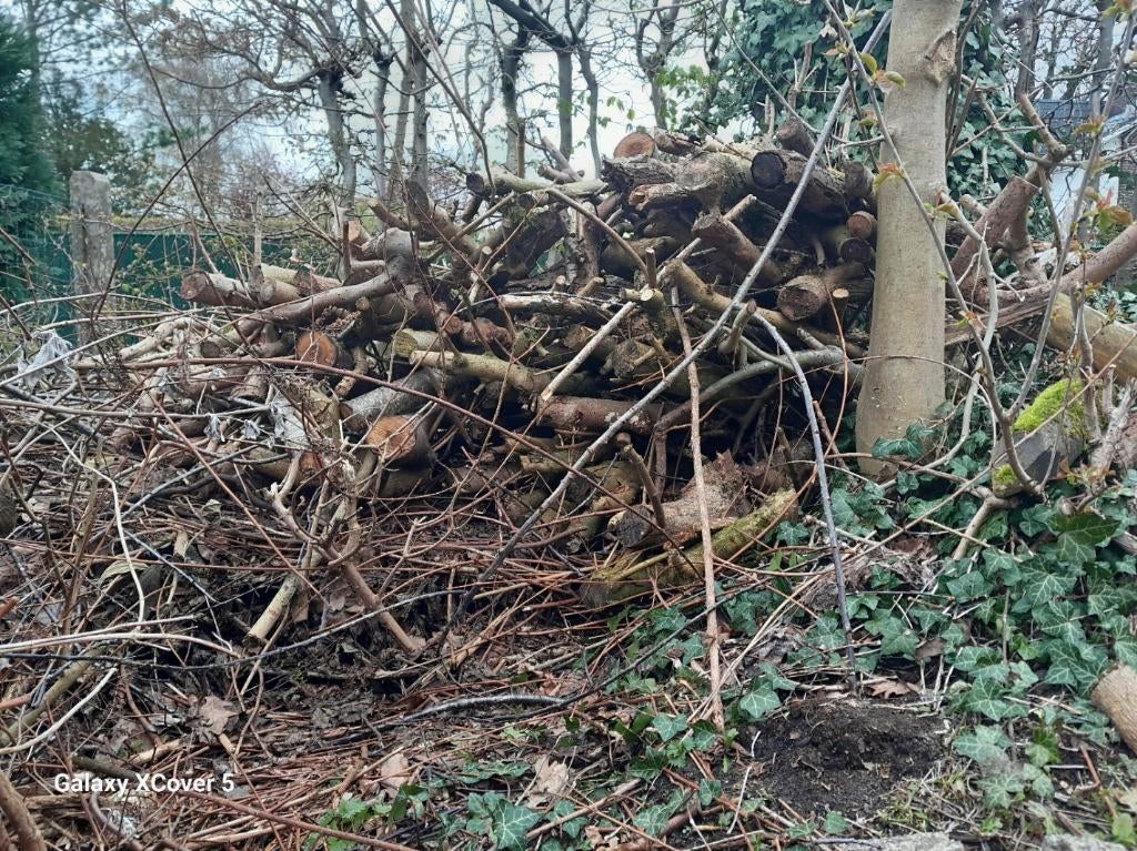 bois de pruneau, bois à grignoter, paillis, GRATUIT, Moins de 3 m³, Enlèvement, Branches