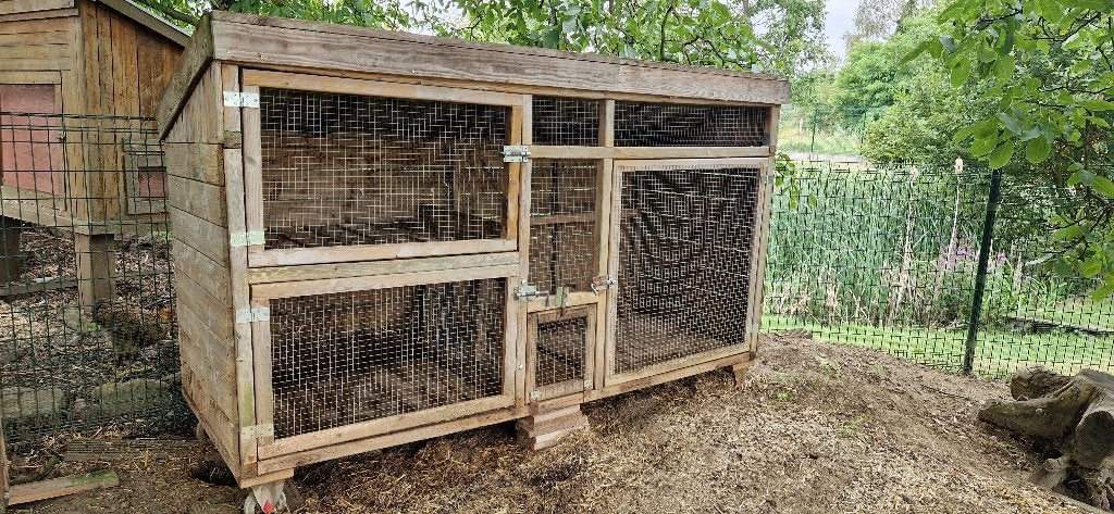 groot konijnenhok, volledig dicht (marterproof), Ophalen, 90 cm of meer, Konijn, Hok