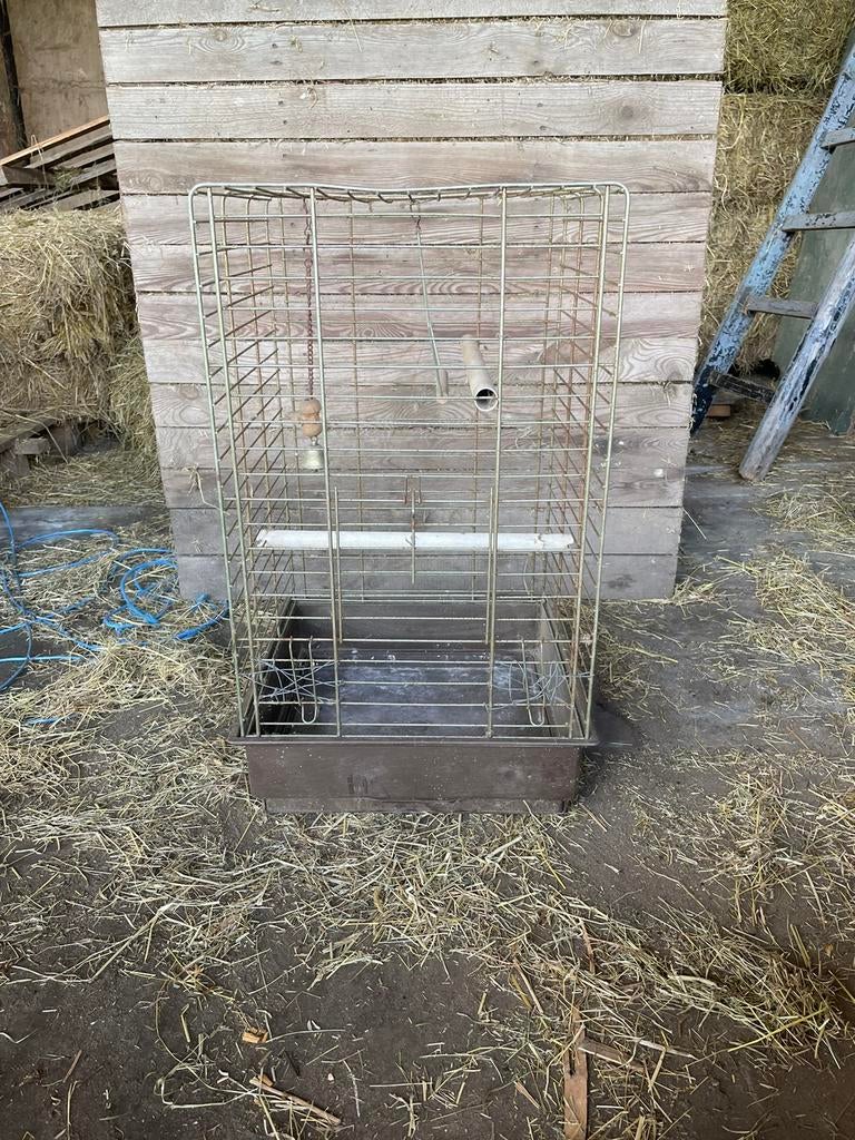 Papegaai kooi, Enlèvement, Utilisé, Cage à oiseaux