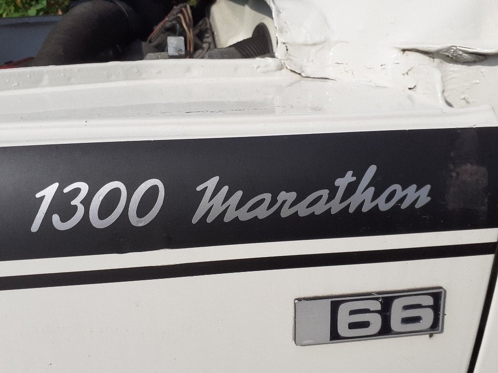 DAF 66 MARATHON, foto 6