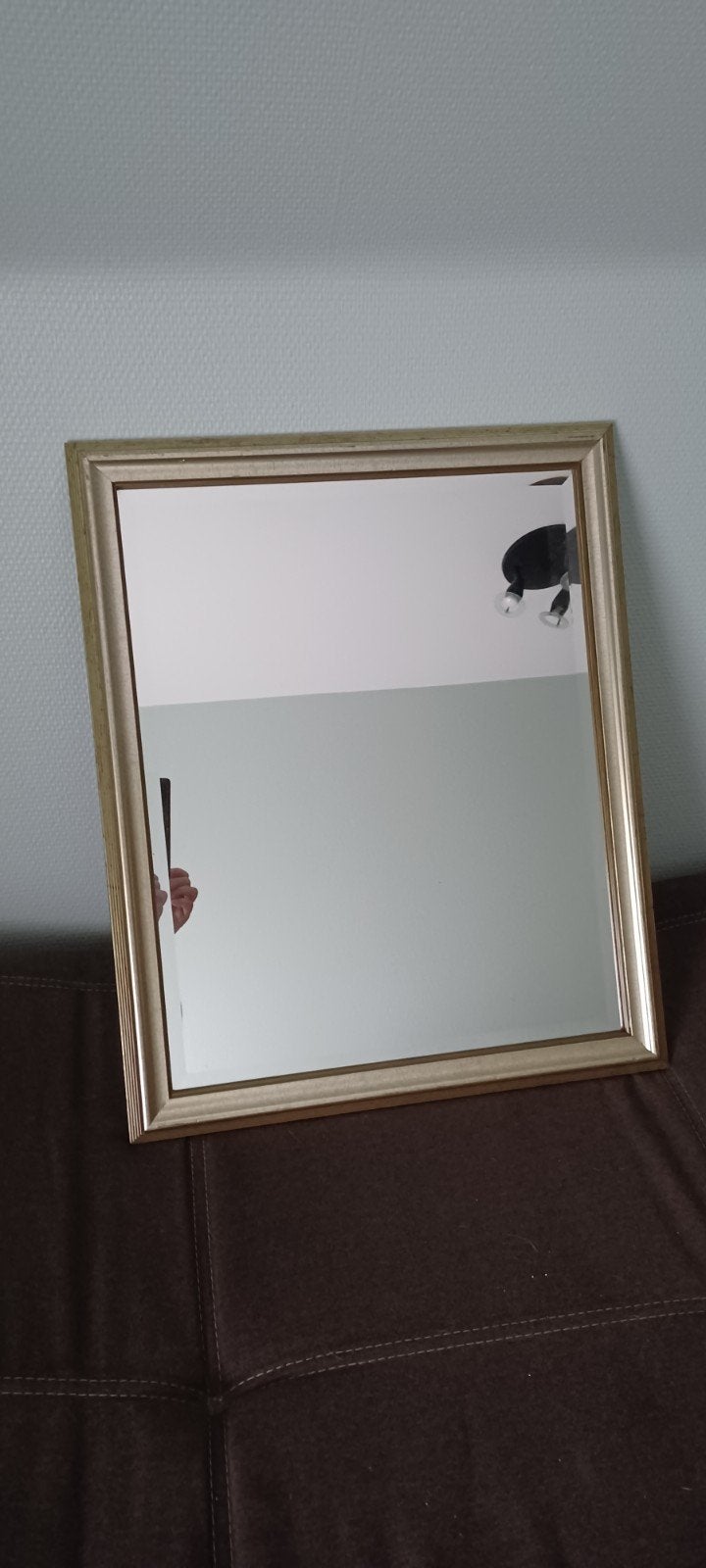 mooie spiegel(met gouden rand) 47cm x 58cm, Ophalen