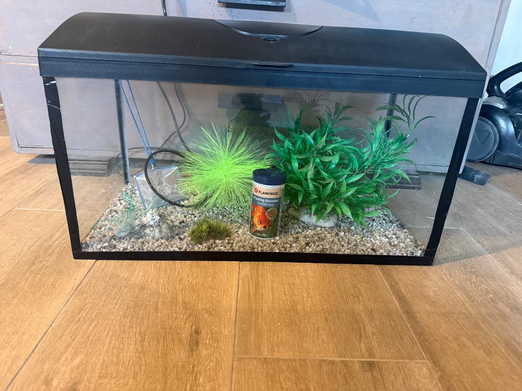 Aquarium, Dieren en Toebehoren, Vissen | Aquaria en Toebehoren, Ophalen