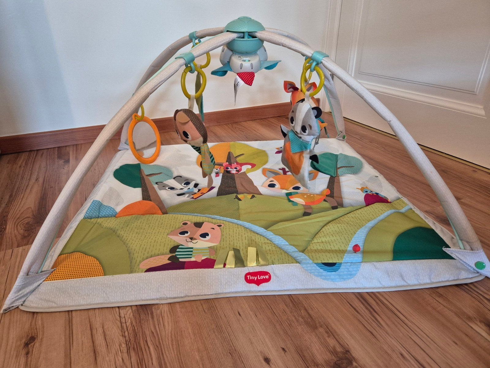 Tinylove speelmat met speelboog, Ophalen
