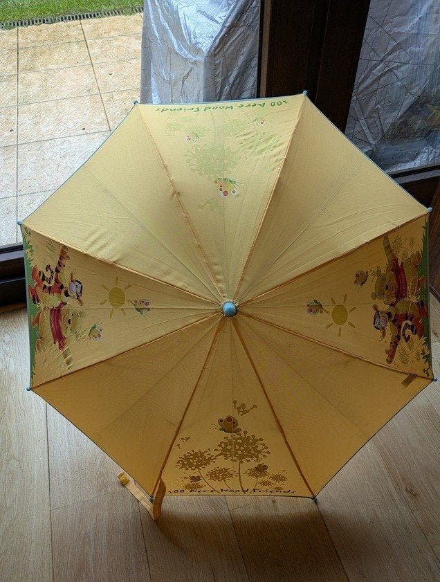 diff. enfant : parapluie Winnie l'Ourson, Enlèvement, Utilisé