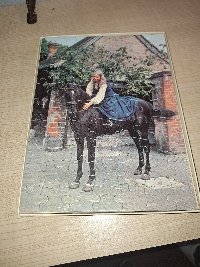 puzzel black beauty, Ophalen of Verzenden, Minder dan 500 stukjes, Zo goed als nieuw, Legpuzzel