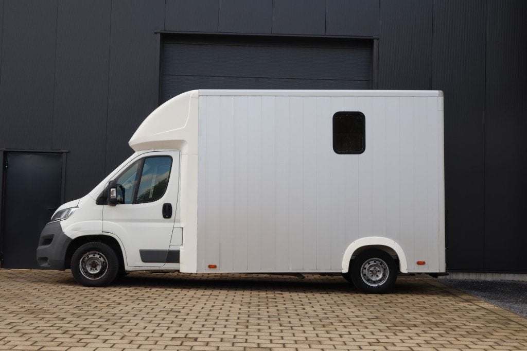Citroën Jumper  2.0ltr -163pk -Euro6 - paardenwagen - hengst, Dieren en Toebehoren, Paarden en Pony's | Trailers en Aanhangwagens