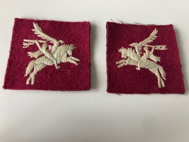 set Pegasus, Ophalen of Verzenden, Landmacht, Embleem of Badge