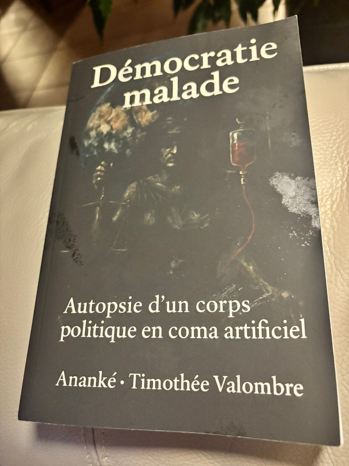 Démocratie malade - Autopsie d'un corps politique en coma, Enlèvement ou Envoi, Comme neuf, Politique, Timothée Valombre