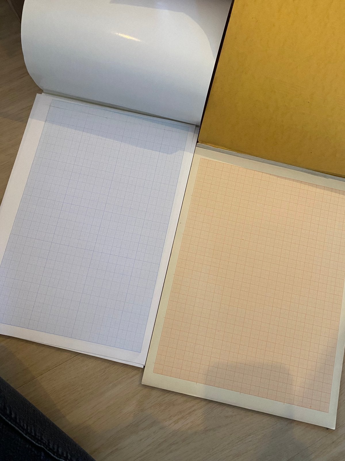 2 blocs de feuilles millimétrées, Diversen, Ophalen of Verzenden, Gebruikt