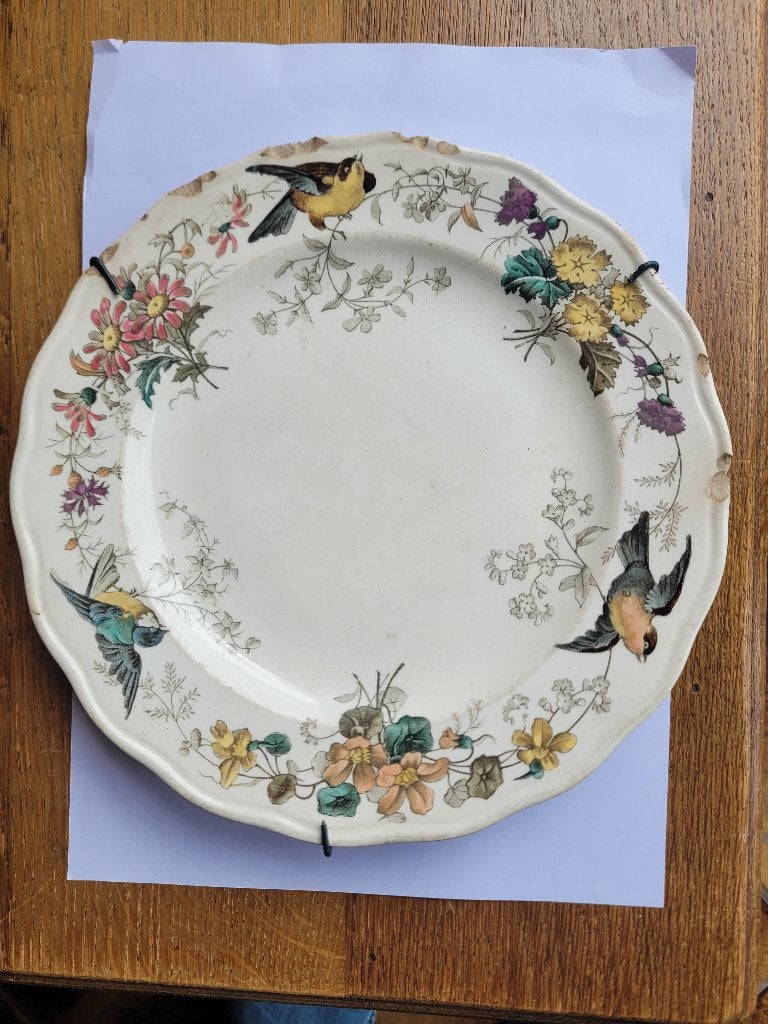 Collection Assiette Anglaise Terre de feu, Enlèvement ou Envoi