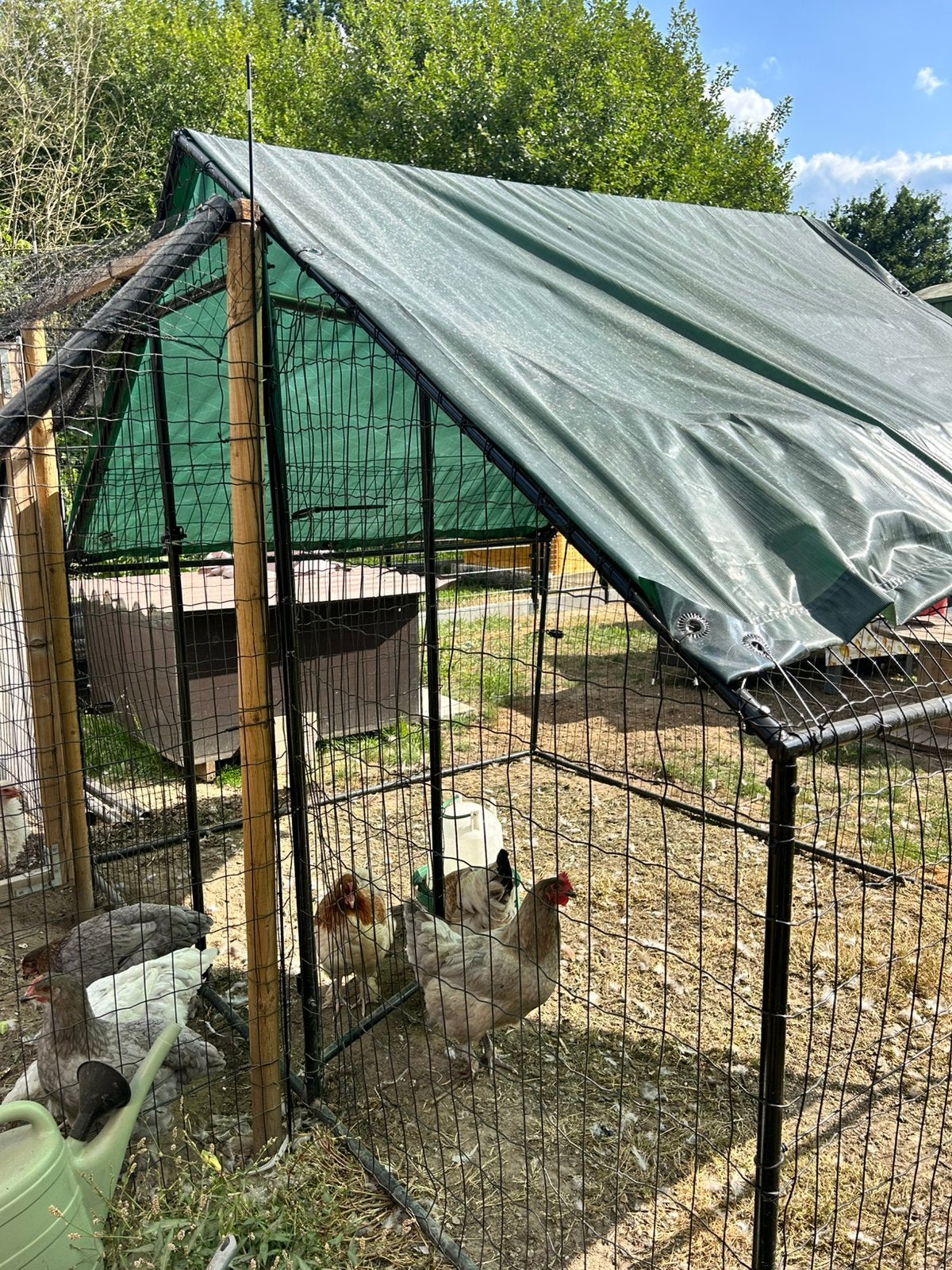 Kippenren, Animaux & Accessoires, Volatiles | Accessoires, Enlèvement, Comme neuf