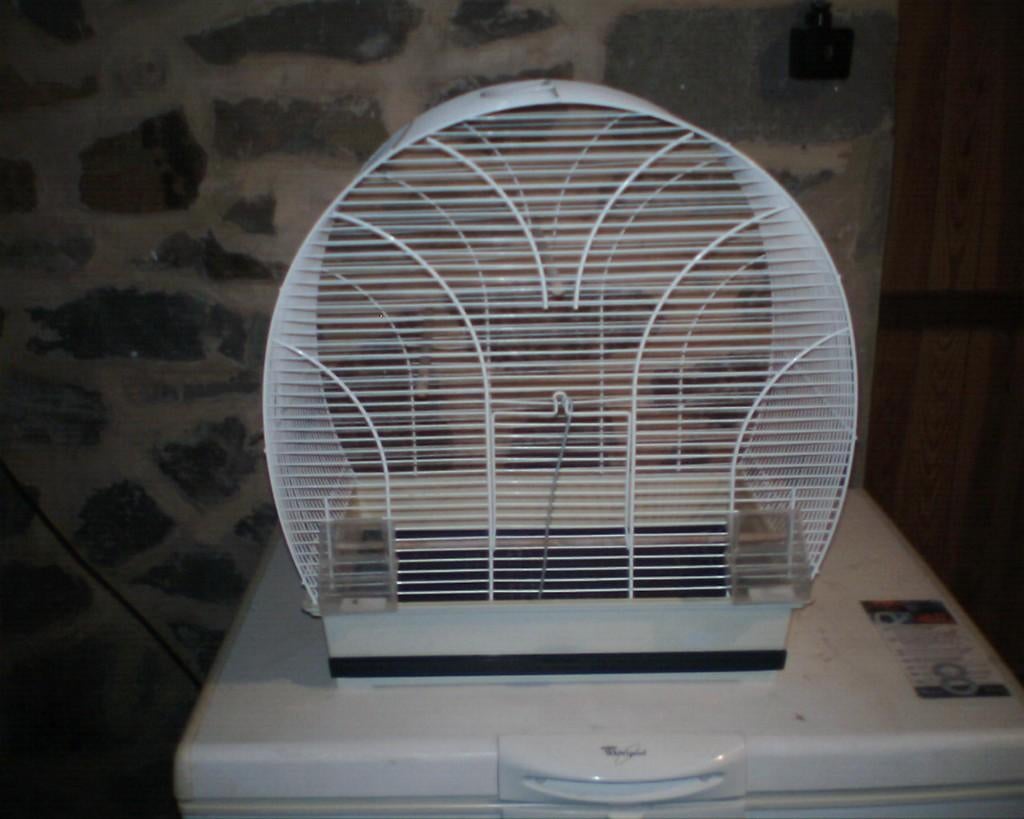 cage oiseau, Animaux & Accessoires, Enlèvement ou Envoi, Comme neuf, Métal, Cage à oiseaux