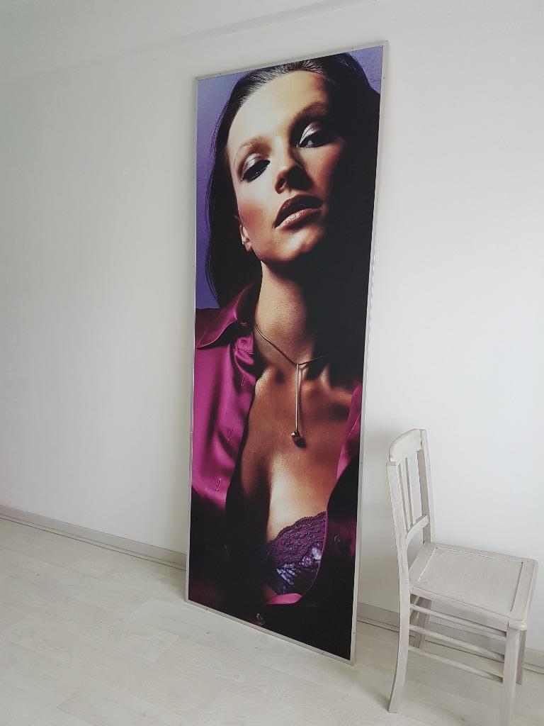 Grote reclamefoto, 225 x 80, Verzamelen, Rechthoekig Staand, Met lijst, Deurposter of groter, Ophalen of Verzenden