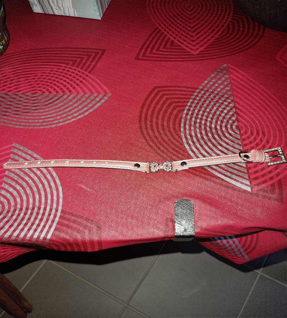 nr 2 honden halsband, Ophalen of Verzenden, Nieuw