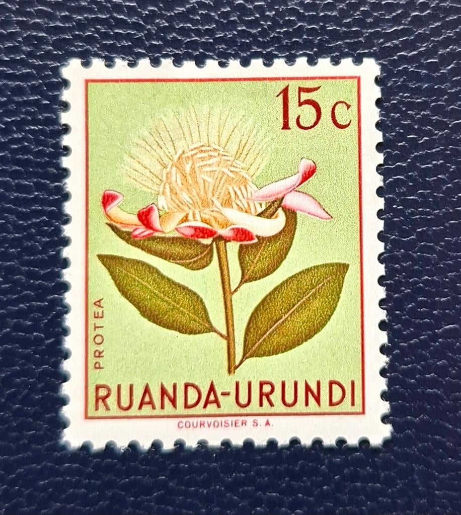 Postzegel Ruanda-Urundi OBP 178*, Ophalen of Verzenden
