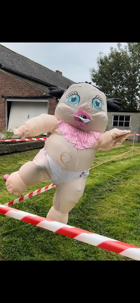 Te huur: baby sumo - gender reveal - babyshower, Ophalen of Verzenden, Zo goed als nieuw