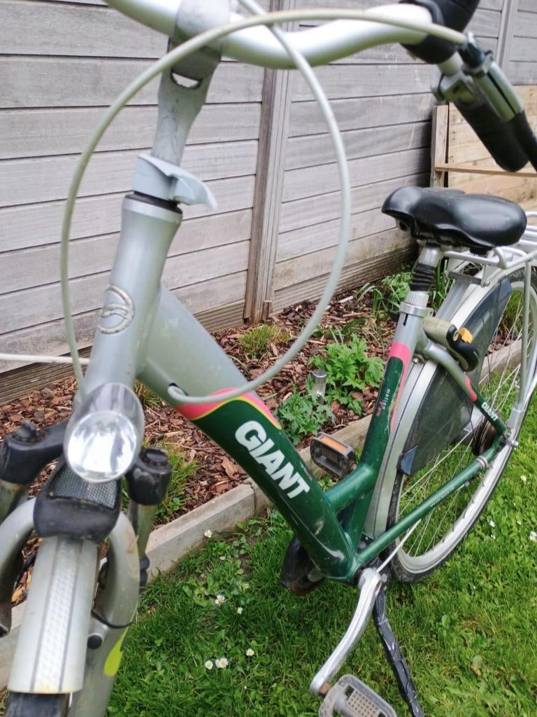 Fiets, Ophalen, Gebruikt, Versnellingen, Giant