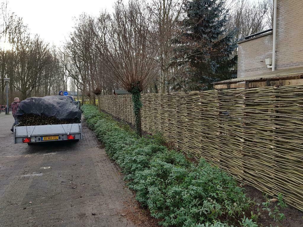 Wilgentenen schutting;een nieuw seizoen is van start gegaan, Hekwerk of Schuttingen