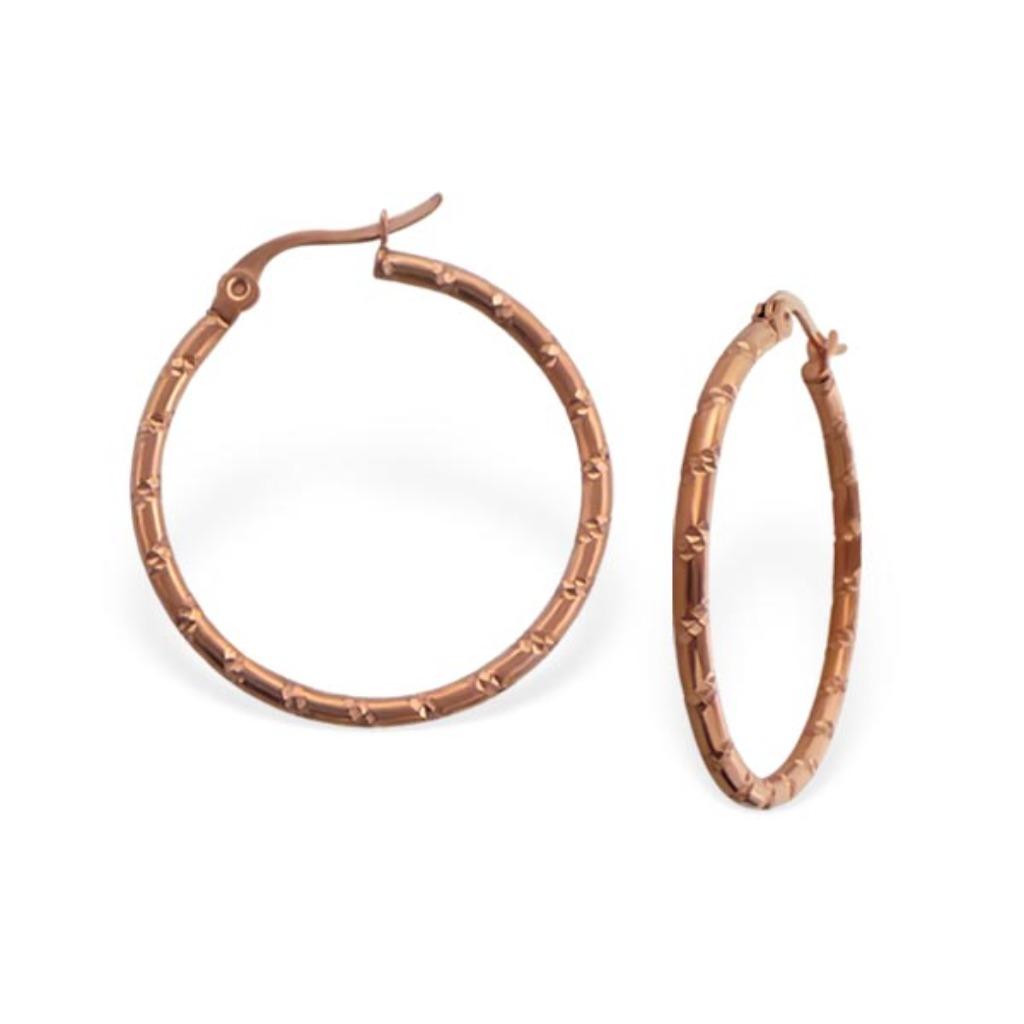 Boucles d'oreilles créoles en acier inoxydable plaqué or ros, Enlèvement ou Envoi, Neuf