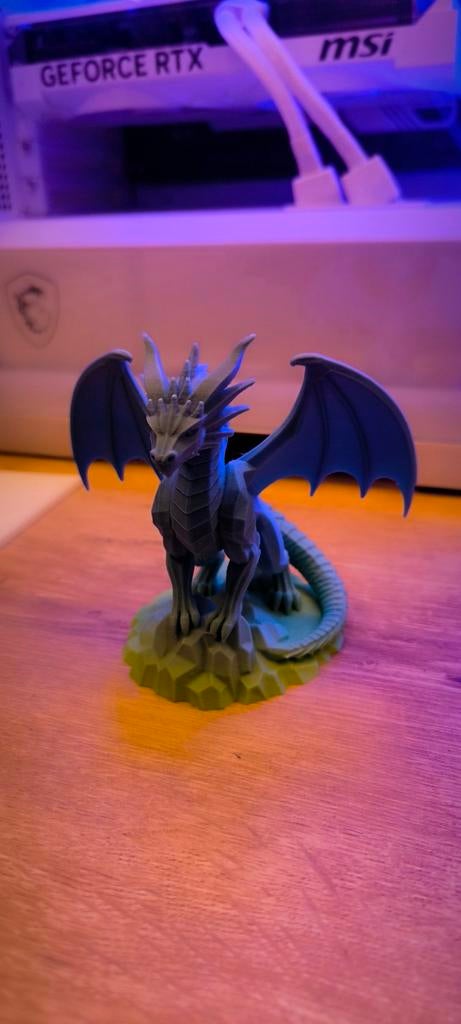 Dragon 3D, Enlèvement