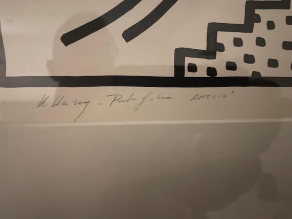 Keith Haring, Antiek en Kunst, Kunst | Litho's en Zeefdrukken, Ophalen
