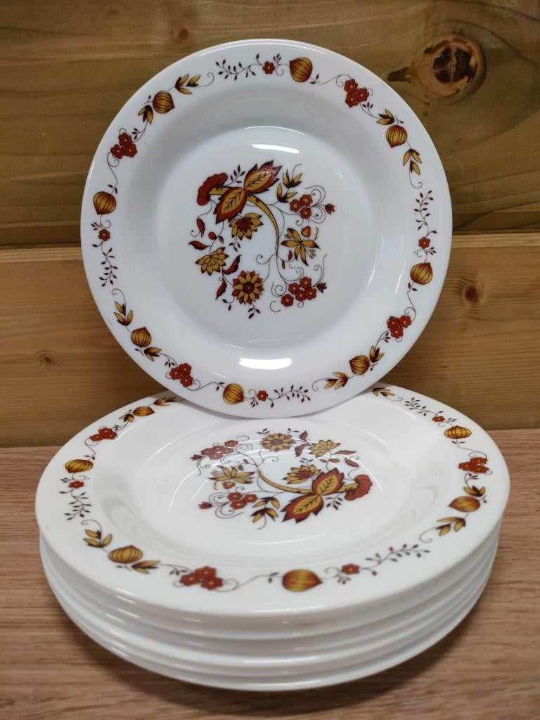 8 borden Arcopal 'Aster' bruin, Ophalen of Verzenden, Zo goed als nieuw, Glas, Bord(en)