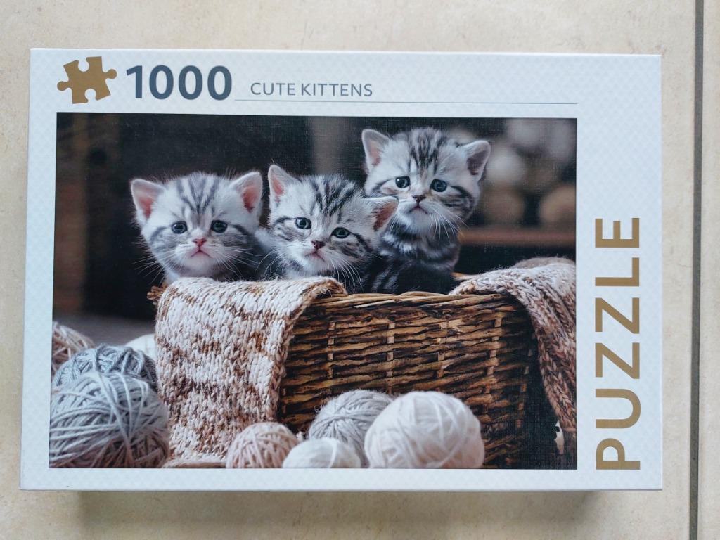 puzzel nieuw 1000 stukjes : Schattige kittens, Hobby en Vrije tijd, Verzenden
