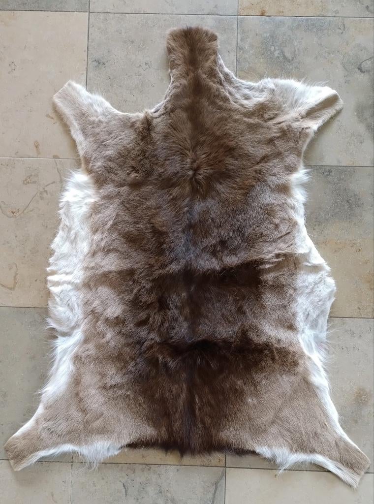 Fourrure de cerf, Maison & Meubles, Ameublement | Tapis & Moquettes, Enlèvement ou Envoi