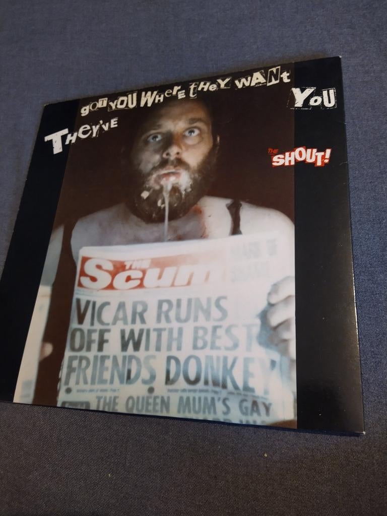 Vinyl The Shout! ‎– They've Got You Where They Want You, Enlèvement ou Envoi, Utilisé