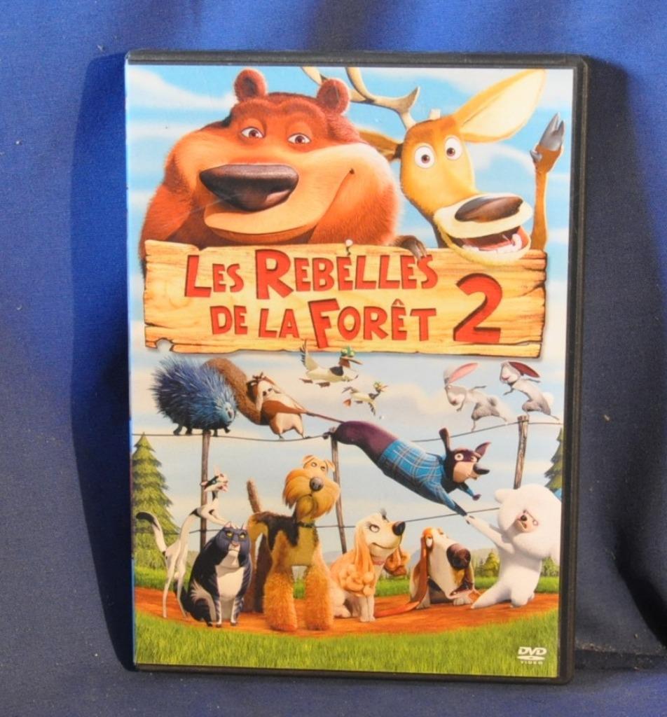 dvd dessin anime les rebelles de la foret 2 ( x 20197), CD & DVD, Enlèvement ou Envoi, Utilisé, Dessin animé