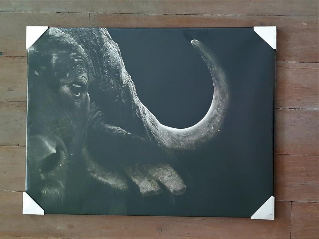 Fotoprint op doek / natuurfotografie / NIEUW, Ophalen, Nieuw