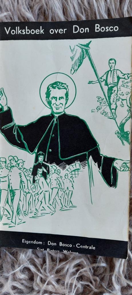 Leven van de heilige Don Bosco, Livres, Enlèvement ou Envoi, Utilisé